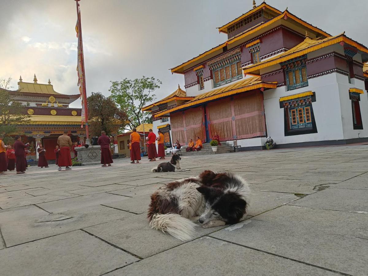 Mellow Fellow Hostel Gangtok Ngoại thất bức ảnh
